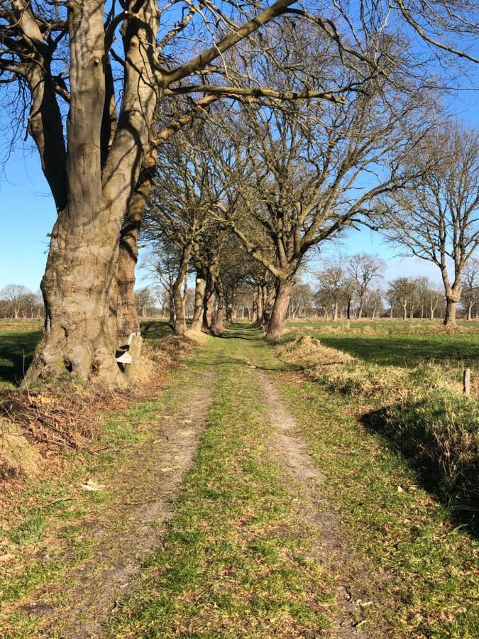 Gut Strackholt Fewo Seemannsgarn Grossefehn Bagian luar foto