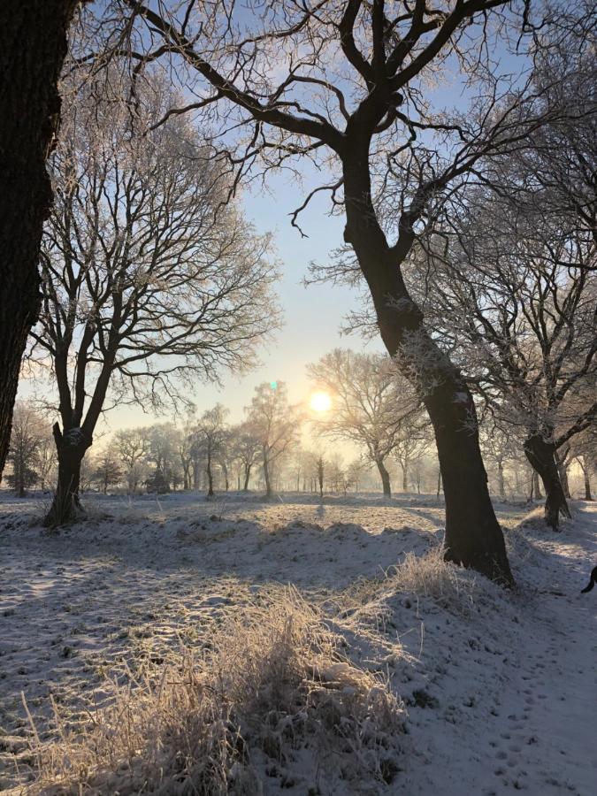 Gut Strackholt Fewo Seemannsgarn Grossefehn Bagian luar foto