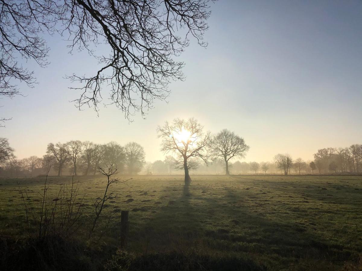 Gut Strackholt Fewo Seemannsgarn Grossefehn Bagian luar foto